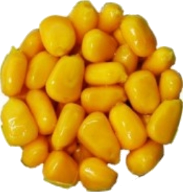 Krmení a nástrahy